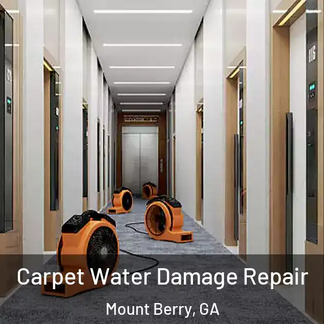  Carpet Water Damage Repair Mount Berry, GA