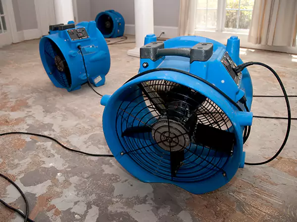 Water Damage Reconstruction in Mount Berry
