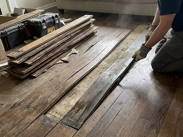 Water Damage Drying in Mount Berry