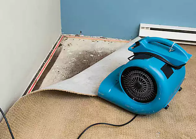 Your Water Damage Experts in Mount Berry, GA