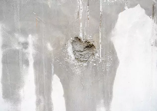 Your Mold Mitigation Solutions Partner in Mount Berry, GA