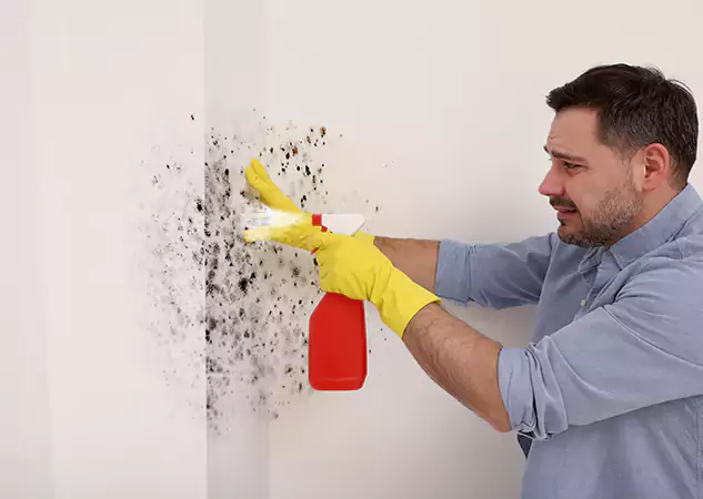 Your Water Mold Fire Restoration Partner in Mount Berry, GA