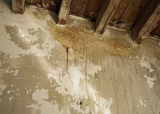 Your Trusted Restoration Company in Mount Berry, GA