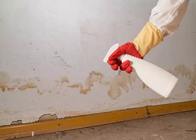 Your Water Restoration and Mold Remediation Specialists in Mount Berry, GA