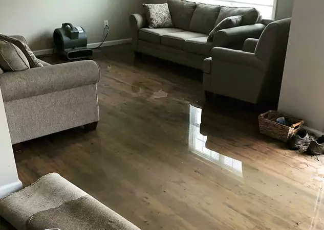 Your Trusted Restoration Company in Mount Berry, GA