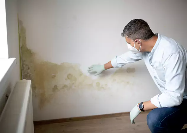 Reach Our Remediation Team Before Damage Grows in Mount Berry, GA!