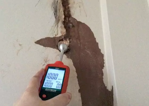 Your Water Damage Assessment Partner in Mount Berry, GA