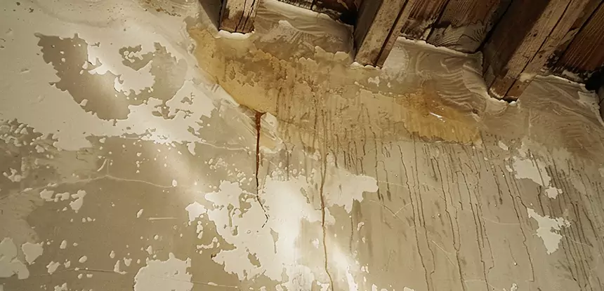 Professional Attic Water Damage Repair Services in Mount Berry, GA