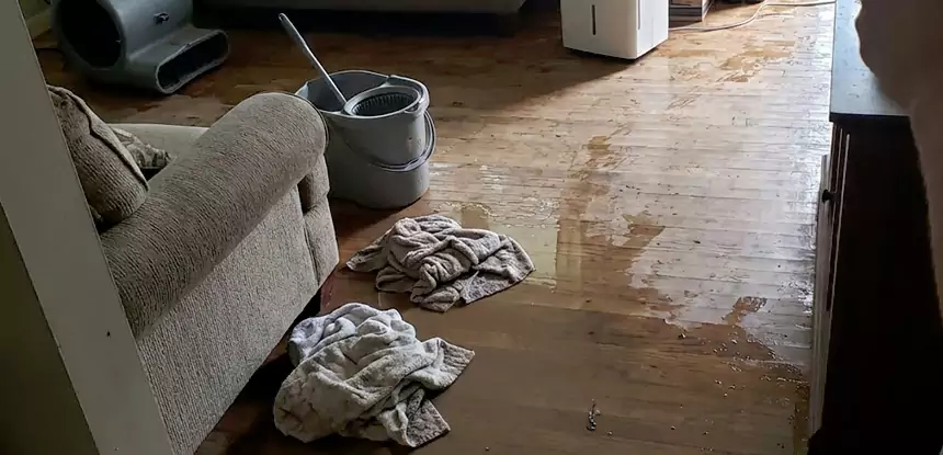 Professional Basement Water Remediation Services in Mount Berry, GA
