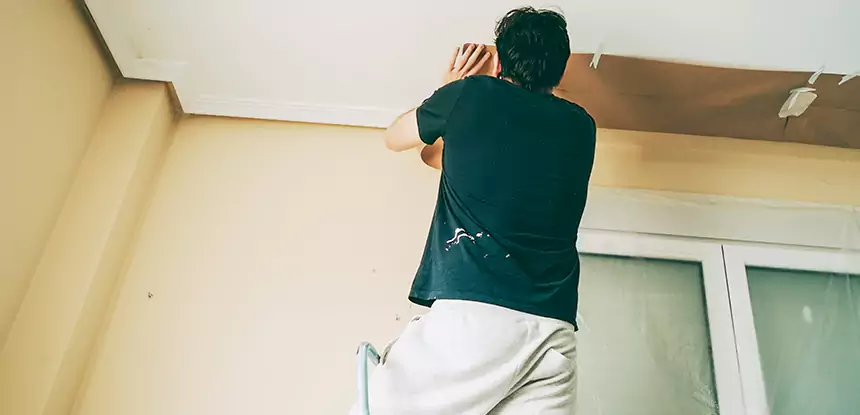 Ceiling Water Damage Repair in Mount Berry