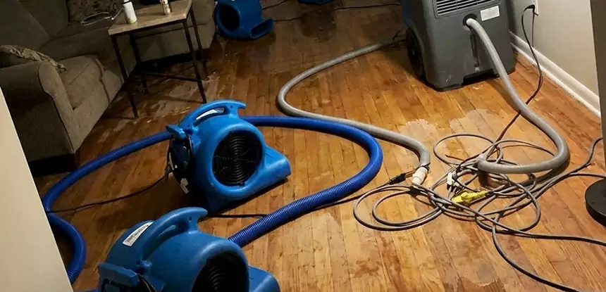 Basement Flood Restoration Services in Mount Berry