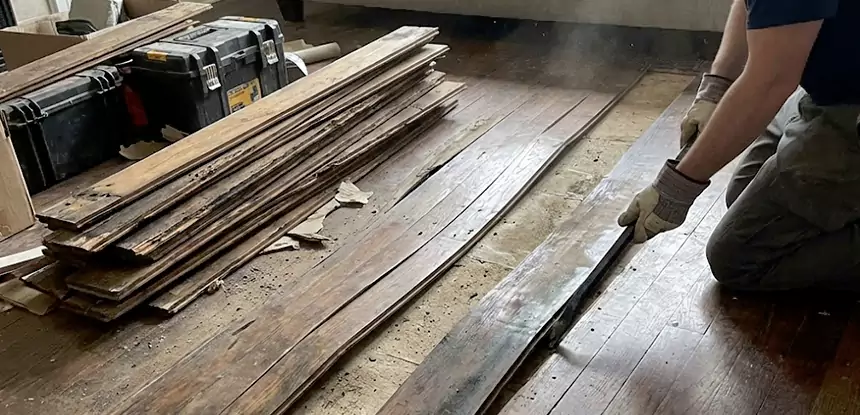 Wood Rot and Fungus Repair in Mount Berry