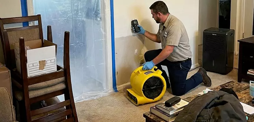 Carpet Water Damage Repair Mount Berry
