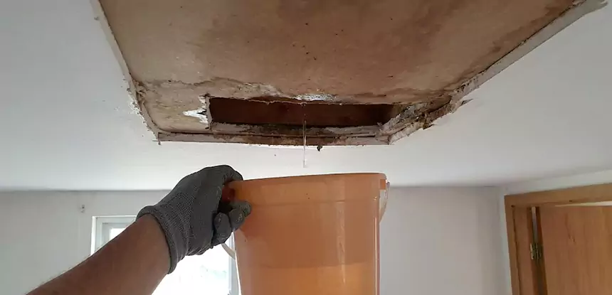 Ceiling Mold Repair Mount Berry 