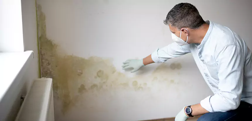 Mold and Water Damage Repair in Mount Berry