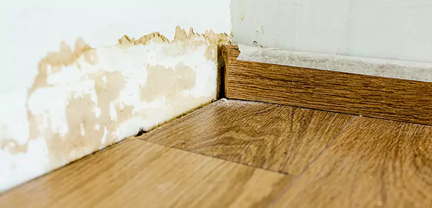 Professional Fix Water Damaged Wood Services in Mount Berry, GA
