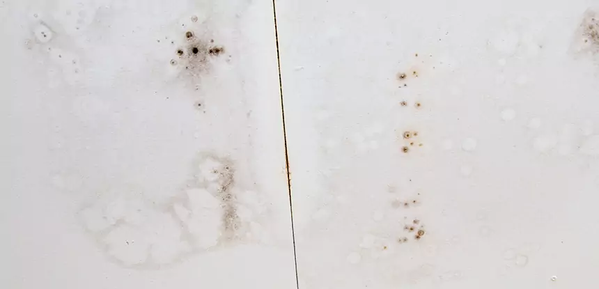 Professional Water Stain Repair Services in Mount Berry, GA