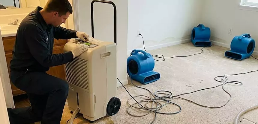 Professional Wet Carpet Removal Services in Mount Berry, GA