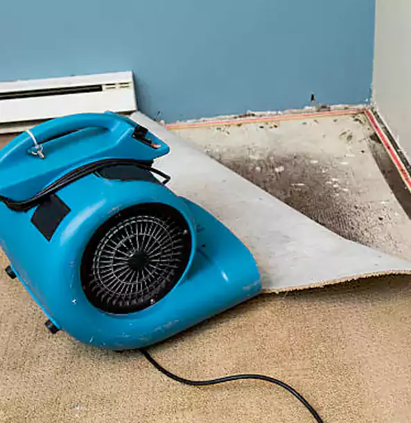 Why Mount Berry Trusts Mount Berry Restoration Pro for Carpet Flood Recovery?