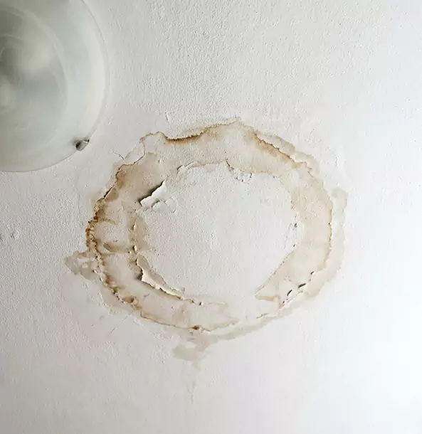 Why Mount Berry Property Owners Choose Mount Berry Restoration Pro for Ceiling Water Damage Restoration?