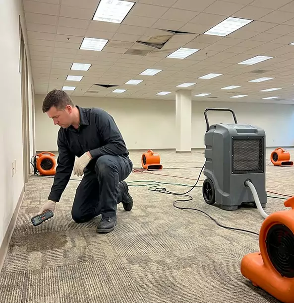 Why Mount Berry Businesses Choose Mount Berry Restoration Pro for Water Cleanup?