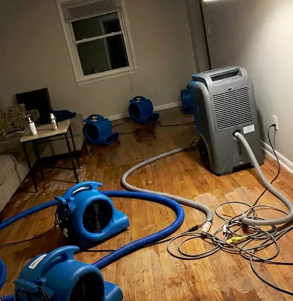 Why Mount Berry Calls Mount Berry Restoration Pro First for Emergency Restoration?