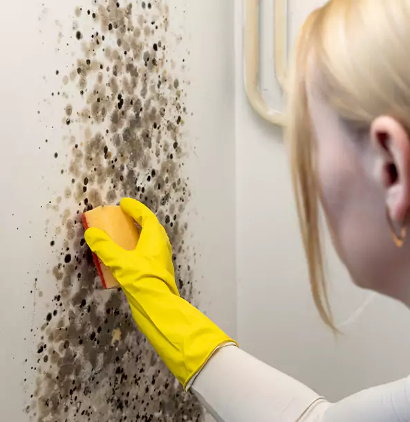 Why Mount Berry Restoration Pro Leads Mold Remediation in Mount Berry?