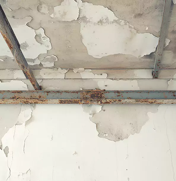 Why Mount Berry Restoration Pro Is the Right Choice in Mount Berry, GA?