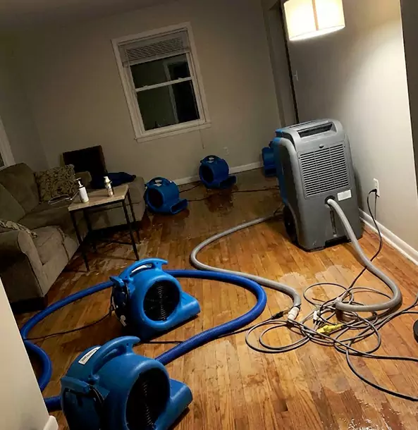 Why Mount Berry Property Owners Rely on Mount Berry Restoration Pro for Remediation?