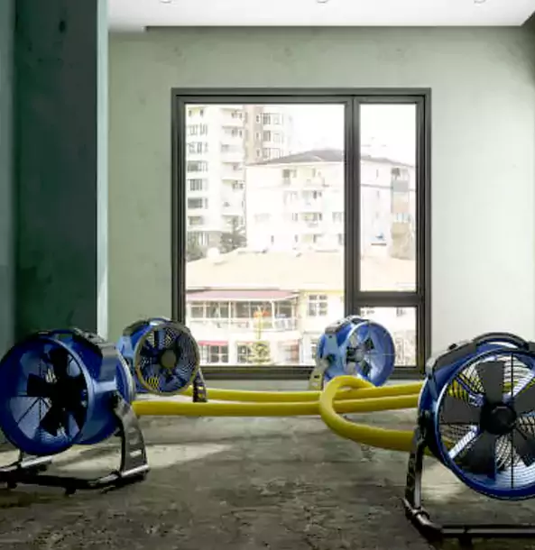 Why Mount Berry Property Owners Trust Mount Berry Restoration Pro for Water Damage Drying?