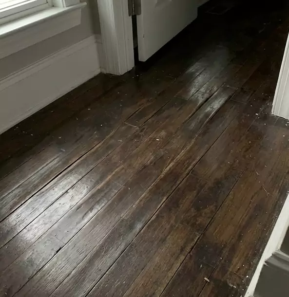 Why Mount Berry Homeowners Trust Mount Berry Restoration Pro to Fix Water Damaged Wood?