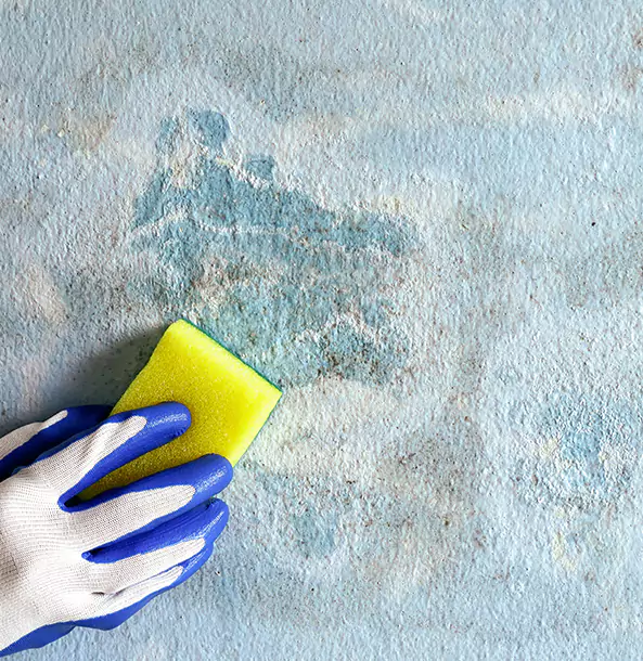 Why Mount Berry Restoration Pro Is the Right Choice in Mount Berry, GA?