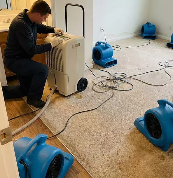 Why Mount Berry Homeowners and Businesses Trust Mount Berry Restoration Pro for Carpet Drying?