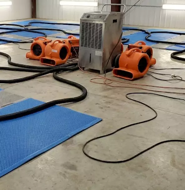 Why Mount Berry Homeowners and Businesses Choose Mount Berry Restoration Pro for Wet Carpet Removal?