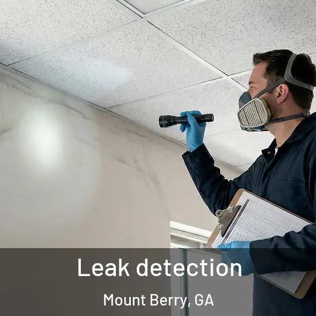  Leak detection Mount Berry, GA