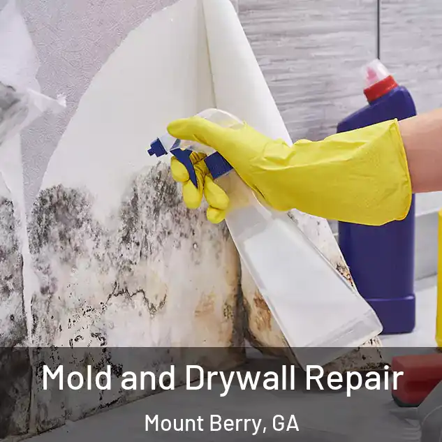  Mold and Drywall Repair Mount Berry, GA