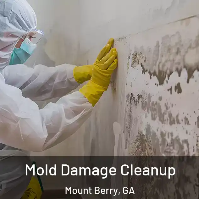  Mold Damage Cleanup Mount Berry, GA
