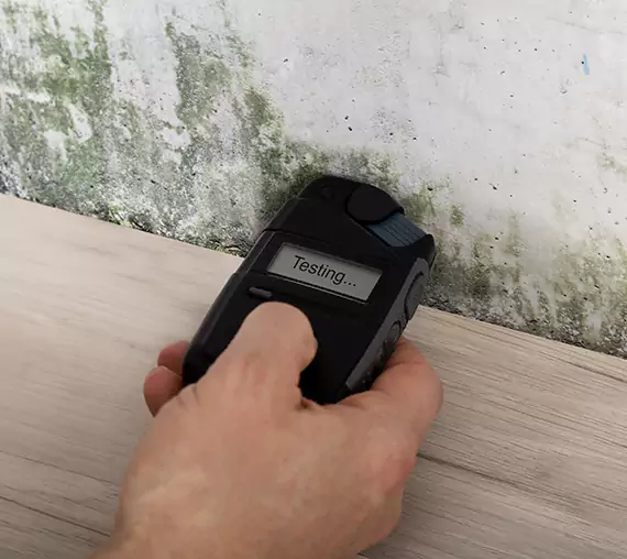 Mold Remediation Service Mount Berry