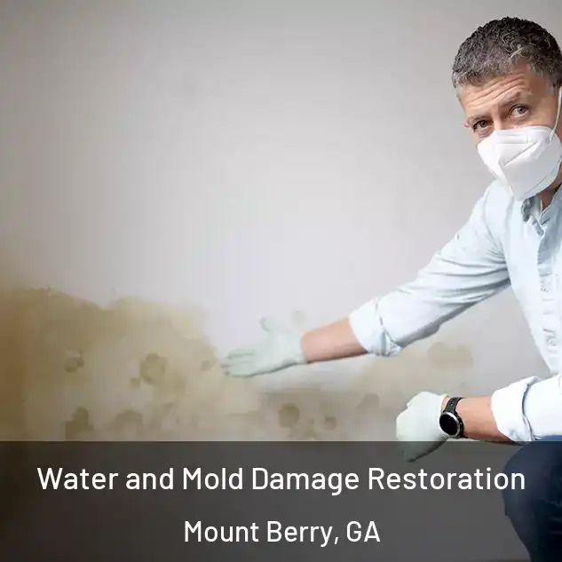  Water and Mold Damage Restoration Mount Berry, GA