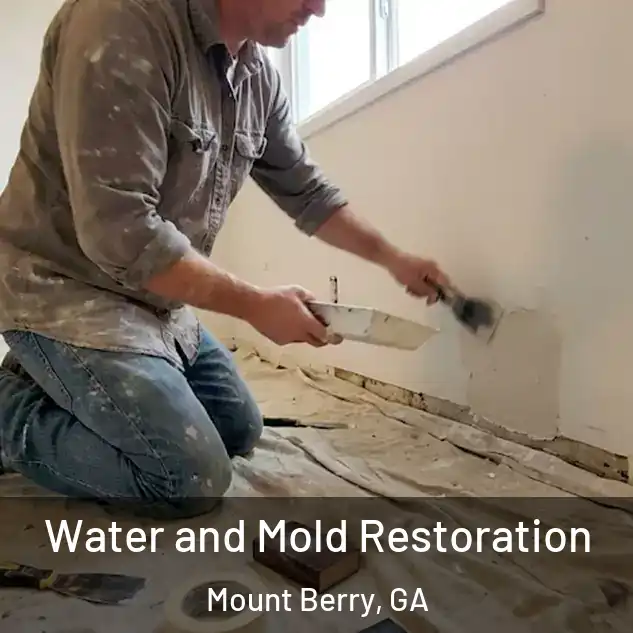  Water and Mold Restoration Mount Berry, GA