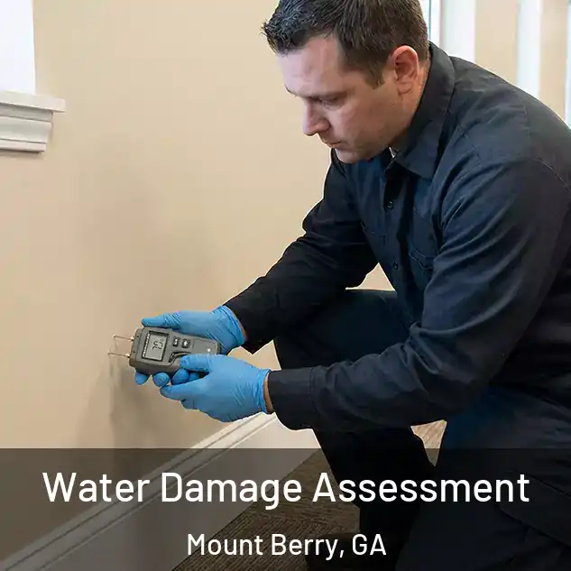  Water Damage Assessment Mount Berry, GA