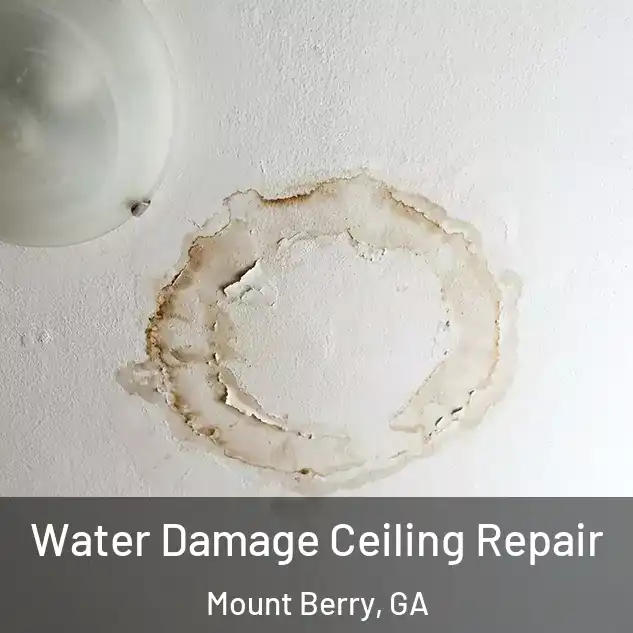  Water Damage Ceiling Repair Mount Berry, GA