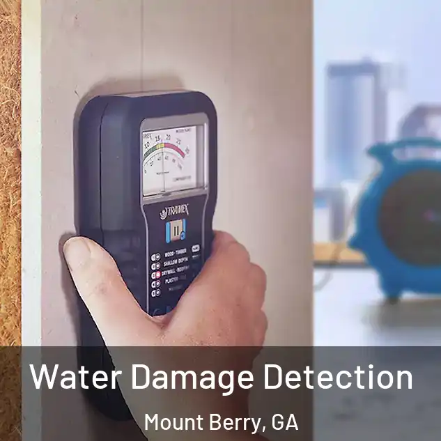  Water Damage Detection Mount Berry, GA