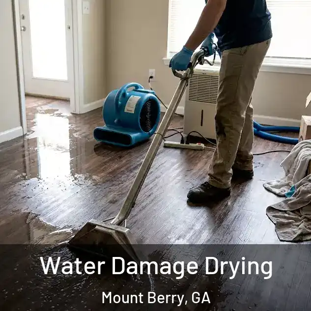  Water Damage Drying Mount Berry, GA