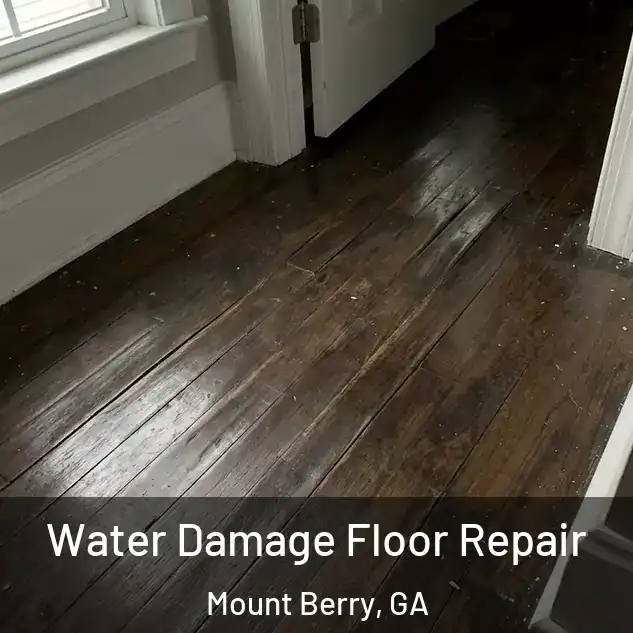  Water Damage Floor Repair Mount Berry, GA