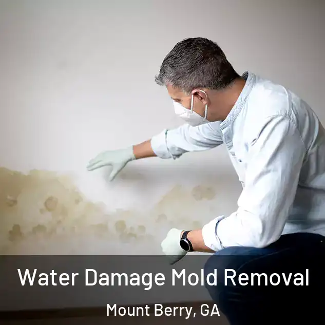 Water Damage Mold Removal Mount Berry, GA