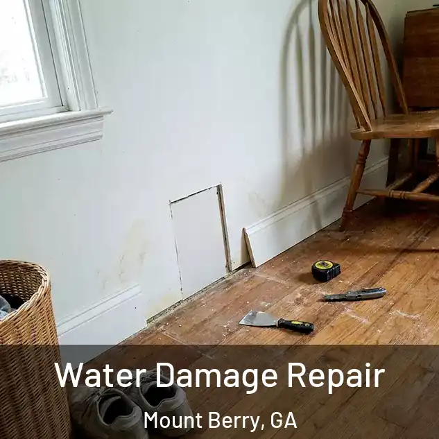  Water Damage Repair Mount Berry, GA