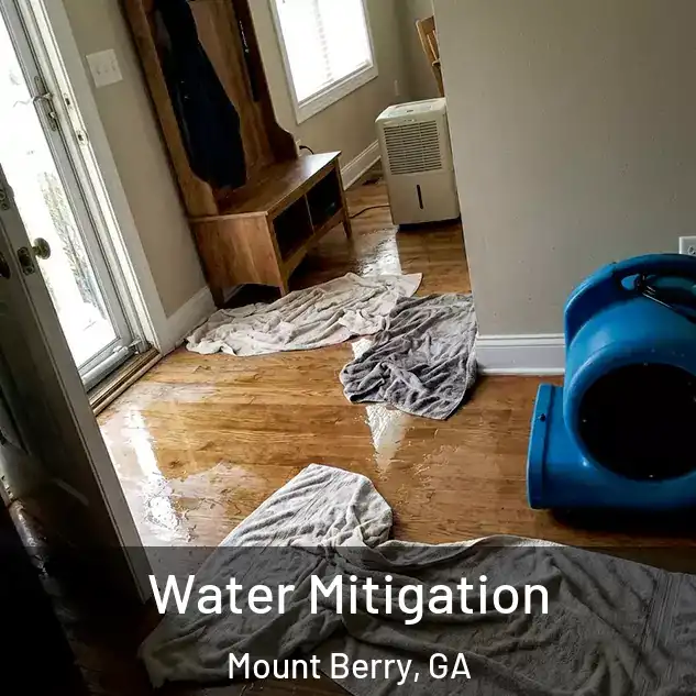  Water Mitigation Mount Berry, GA