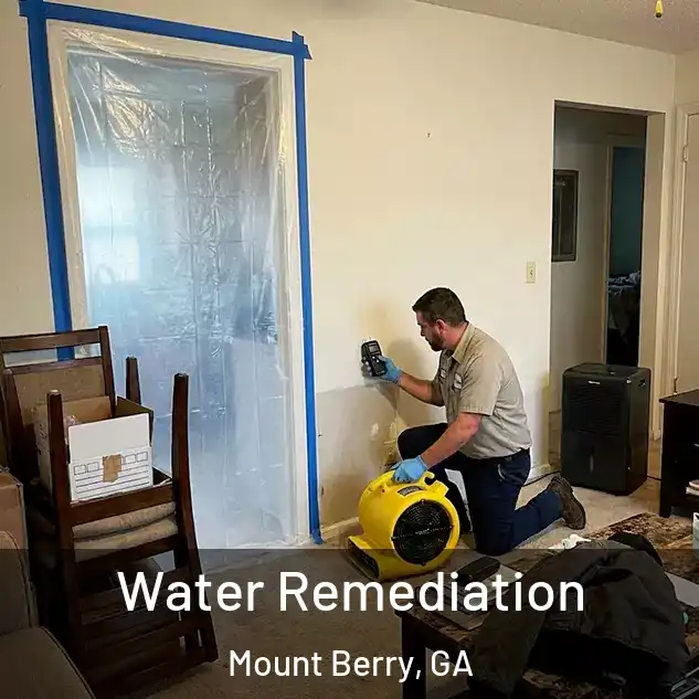  Water Remediation Mount Berry, GA