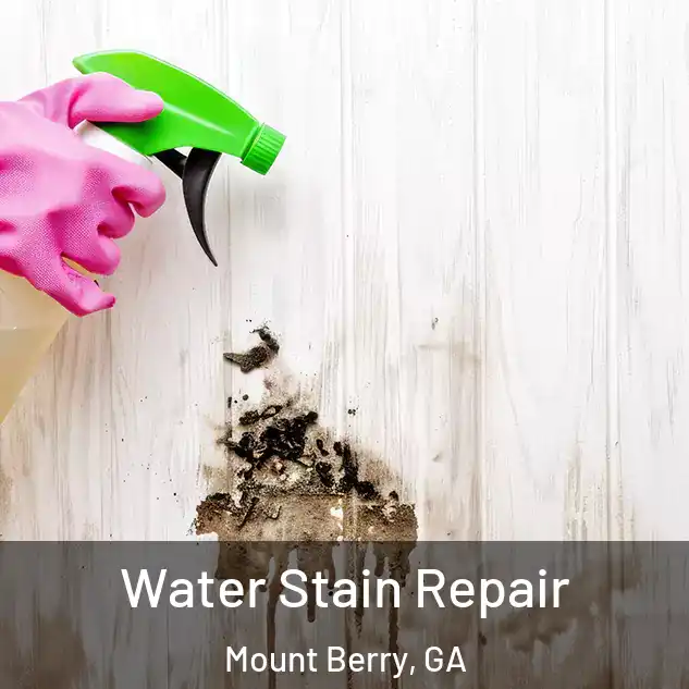  Water Stain Repair Mount Berry, GA